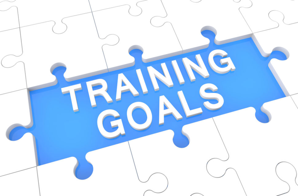 Training: A Look At Some Top Companies And Best Practices - HR Daily ...