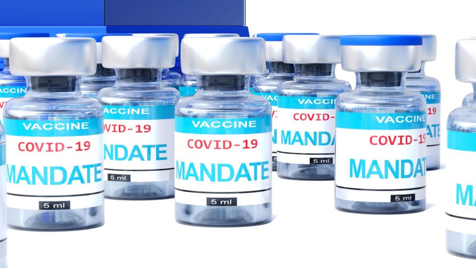 Court Blocks Federal Contractor Vaccine Mandate In 3 States HR Daily   Shutterstock 2061727184 970x546 